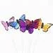 1532019977618.webp