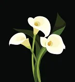 1542989649552.webp