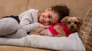 1545018993376.webp