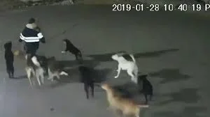 12823