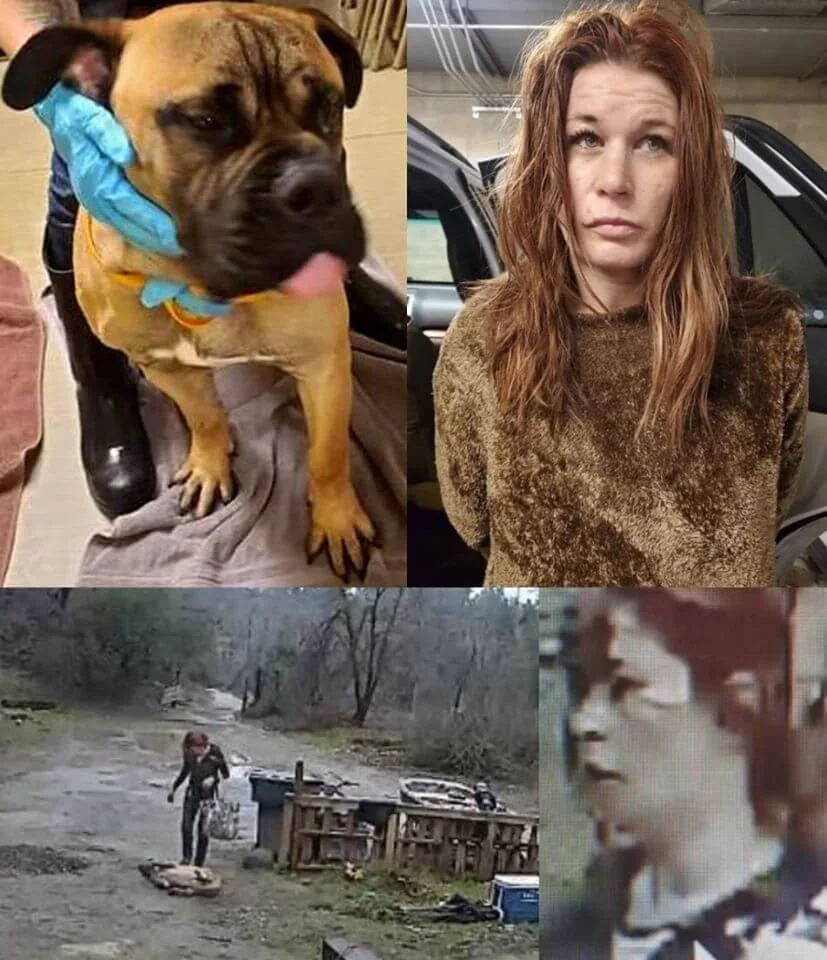 1596943799399.png