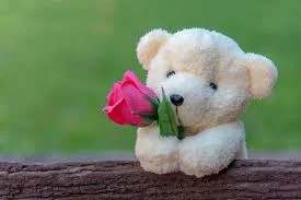 1700644148843.webp