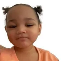1729212506840.webp