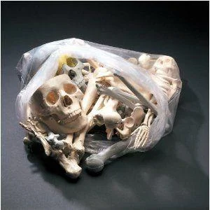 bagofbones.webp