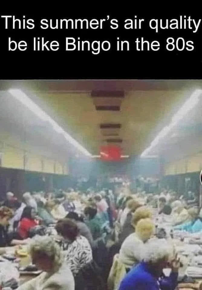 bingo.webp