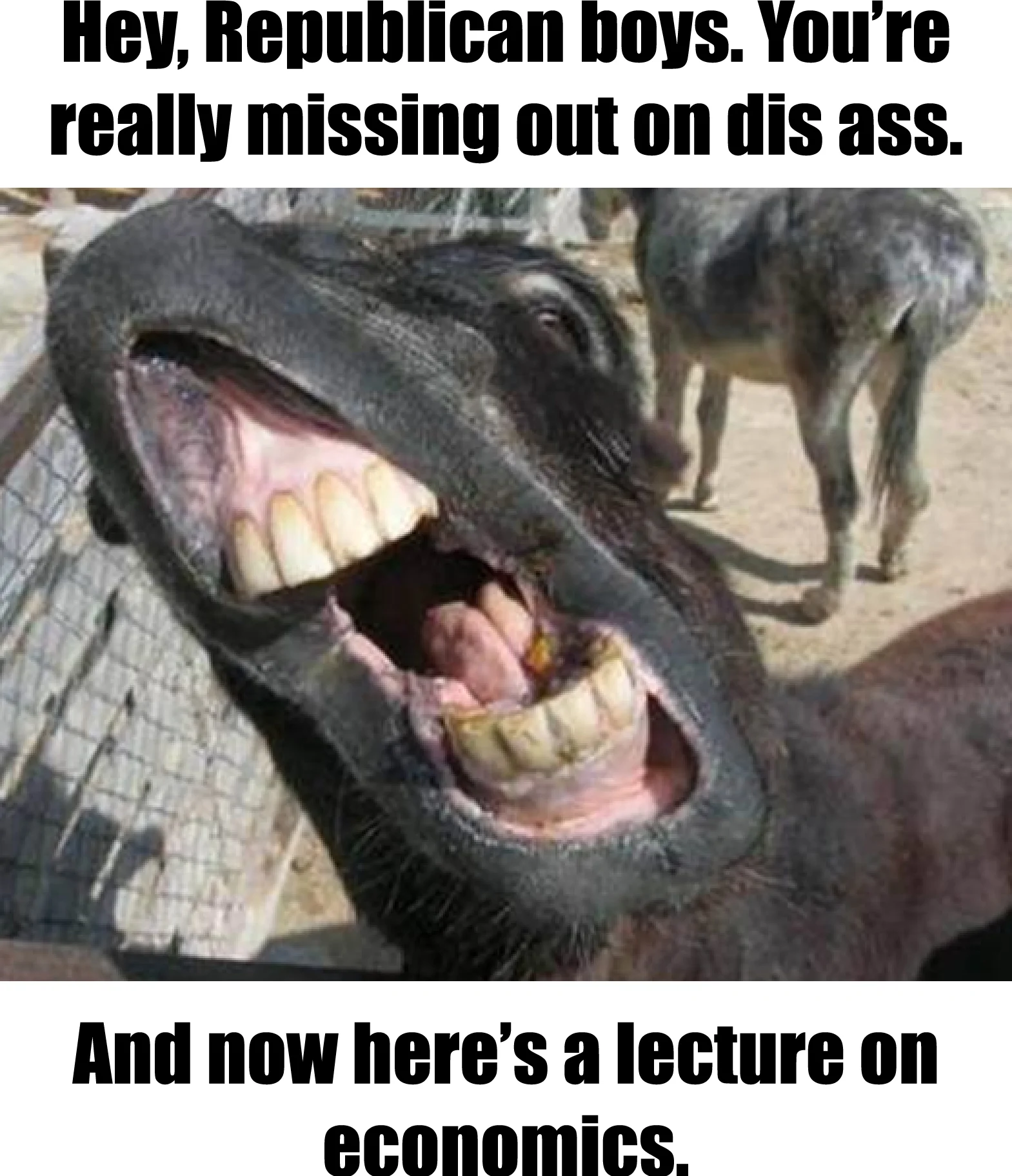 donkey-teeth-yburnmeat-meme.jpg