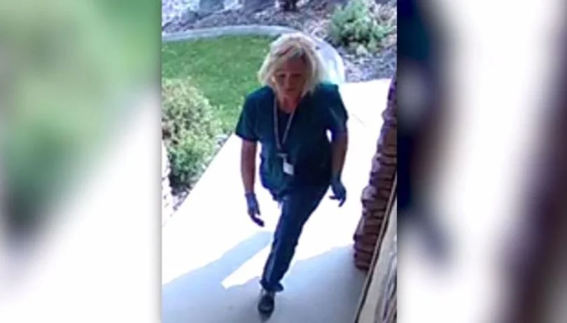 porch+pirate+nurse+2.jpg