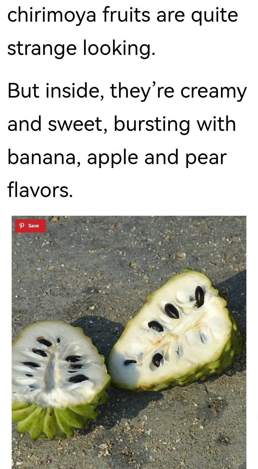 Screenshot_20230927_082825.webp