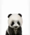 1607677397686.webp