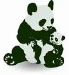 1607902778898.webp