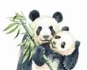 1608005878045.webp