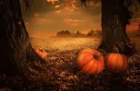1635160262404.webp