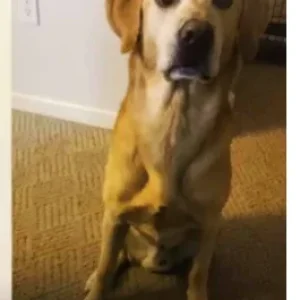 1580323936075.png