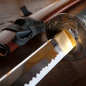 samurai-sword-stab-01-1.jpg