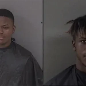 febrezeduo20xx.jpg