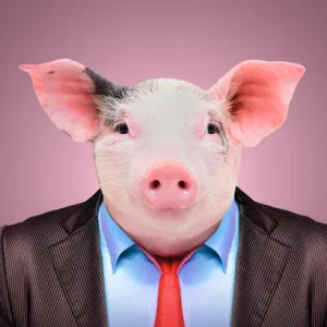 PETA-pig-insults.jpg