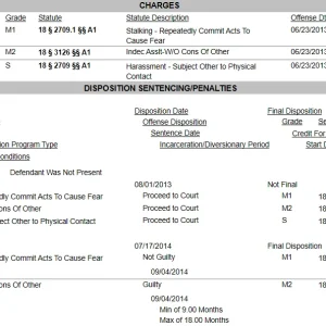 taray-herring-2013-charges.png