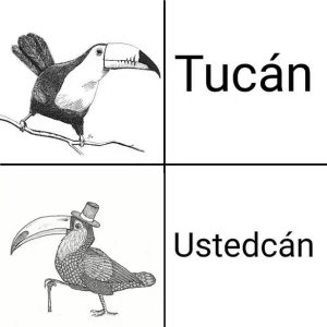 tucan.jpg