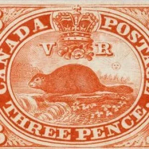3 PENNY BEAVER.JPG