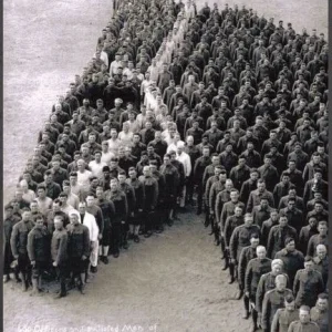 ww1 tribute horses.JPG