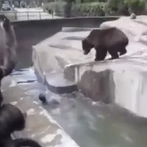 warsaw-bear-fight-97.jpg