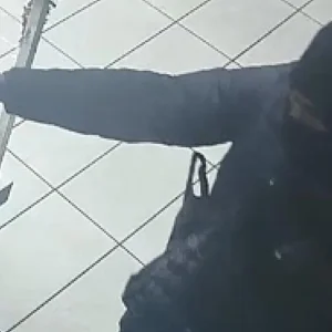 1641782477353.jpeg