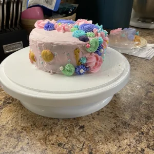 Second cake attempt