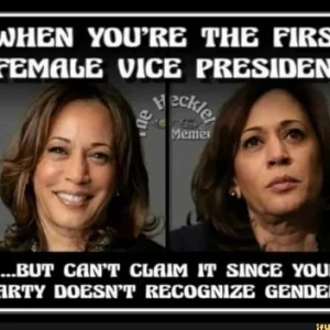 vp.jpg
