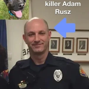 1657568700905.png