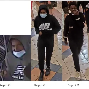 1664420505802.png