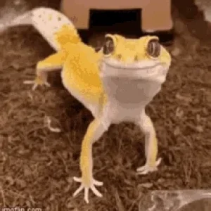 1690677578291.png