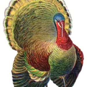 1700067804360.png