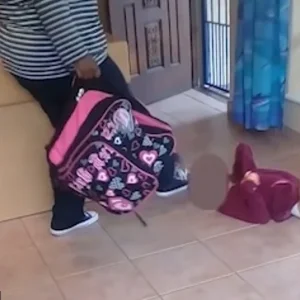 1539282949894.png