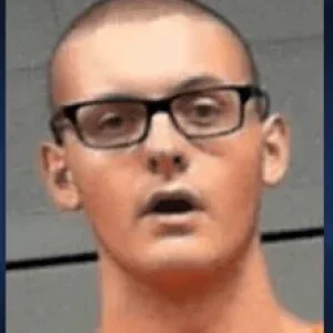 1734268646379.png
