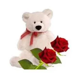 1741553613748.webp