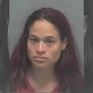 1542090375329.png