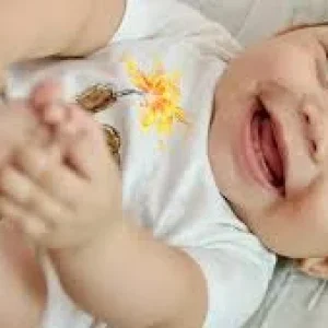 1767500704725.webp