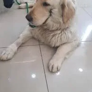 1551174076712.png