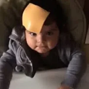 1551508262399.png