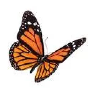 1552993416237.png