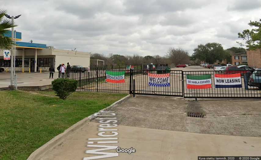 10600-beechnut-4.png