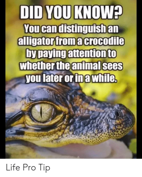 1659112319286.png