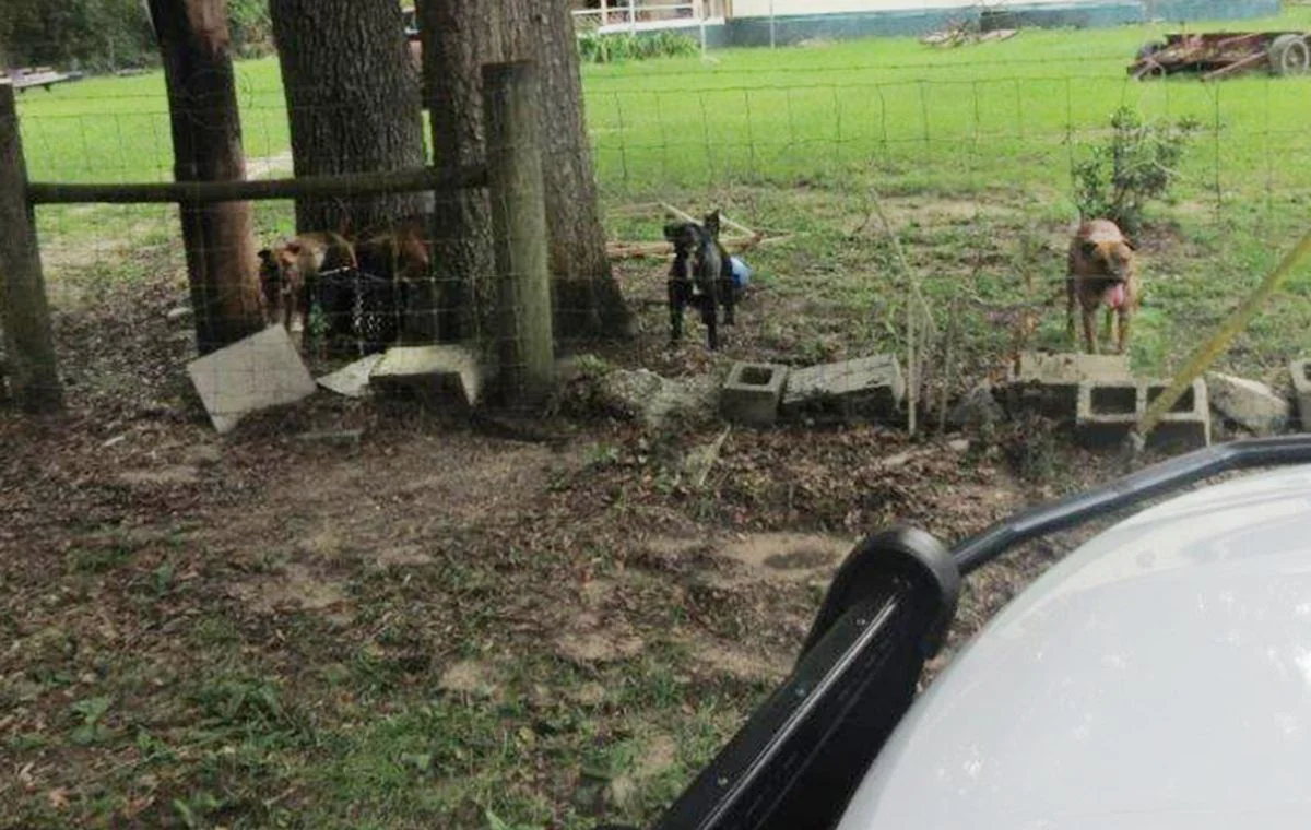 1661352088846.jpeg