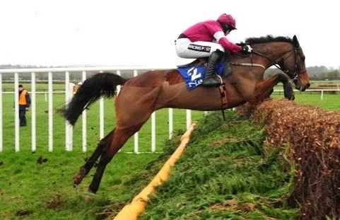 national hunt.JPG